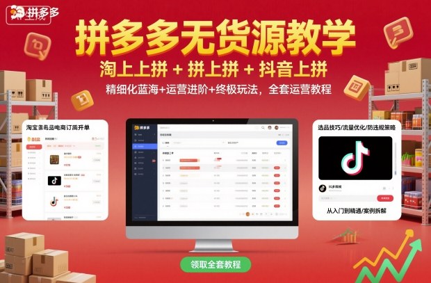 拼多多无货源教学，淘上拼+拼上拼+抖上拼，精细化蓝海+运营进阶+终极玩法，全套运营教程-副业项目资源网