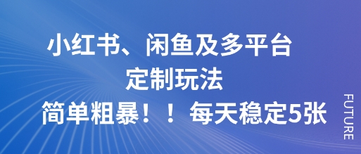 小红书、闲鱼及多平台定制玩法简单粗暴！每天稳定5张-副业项目资源网