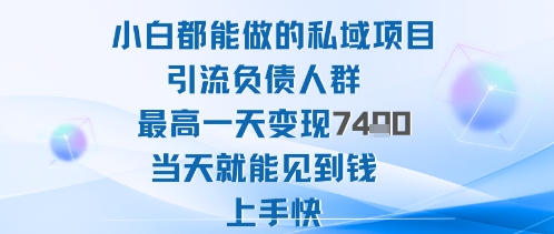 2025年小白都能做的私域项目引流负债人群最高一天变现1k+高变现难度低当天就能见到钱上手快-副业项目资源网