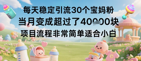 每天稳定引流30个宝妈粉当月变成超过了1W+项目流程非常简单适合小白-副业项目资源网