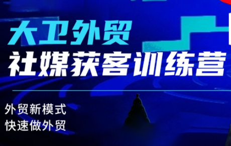 大卫老师·外贸社媒获客独家训练营(更新10月)-副业项目资源网