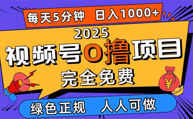 2025视频号0撸项目,5分钟一个号,日入1000+,人人可做-副业项目资源网