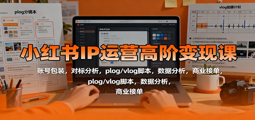 小红书IP运营高阶变现课:账号包装,对标分析,plog/vlog脚本,数据分析,商业接单-副业项目资源网