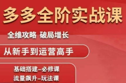 大炮·拼多多全阶实战课程(更新10月)-副业项目资源网